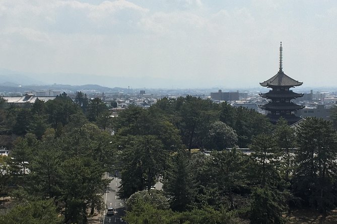 Full-Day Private Guided Tour to Nara Temples - Pricing and Group Size