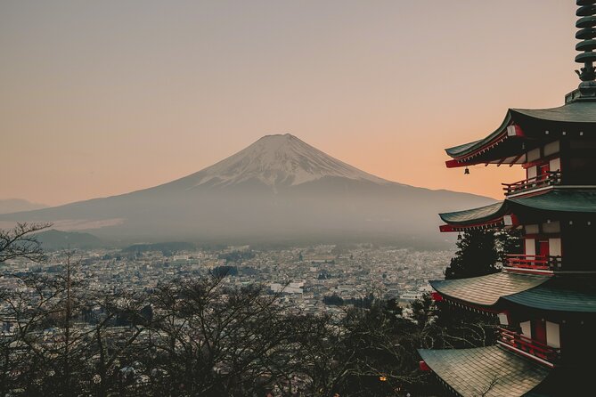 Full-Day Private Mt. Fuji Tour With Local Guide From Tokyo - Traveler Photos and Reviews