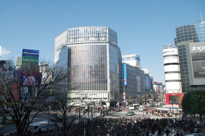 Full-Day Private Tour in New Shibuya - Local Insights and Hidden Gems