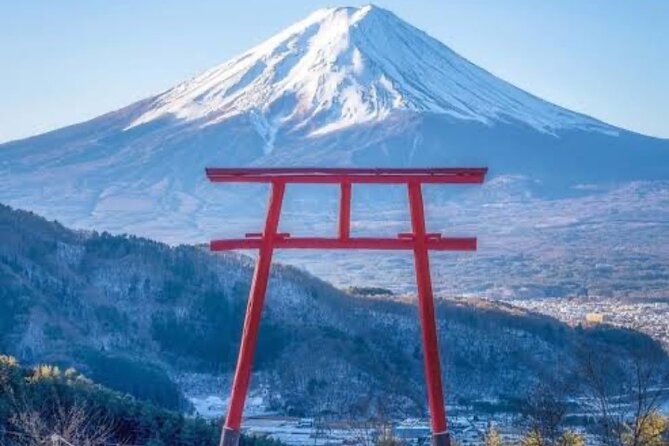 Full Day Private Tour With English Speaking Driver in Mount Fuji - Traveler Reviews and Ratings