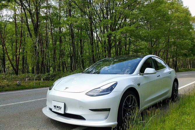 Go Anywhere With a Tesla Rental Car (Free Plan) - Top Destinations to Explore