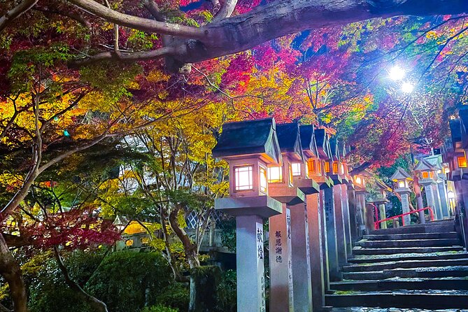 Hidden Gems of Osaka Kyoto Nara - Private Car Tour by Local Guide - 5-Star Rating and Positive Reviews