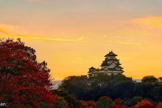 Himeji Full-Day Private Tour With Government-Licensed Guide - Customizable Activities for Your Day