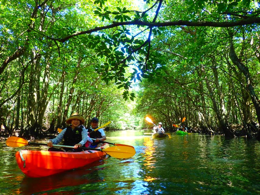 Iriomote Island: Kayaking and Canyoning Tour - Experience