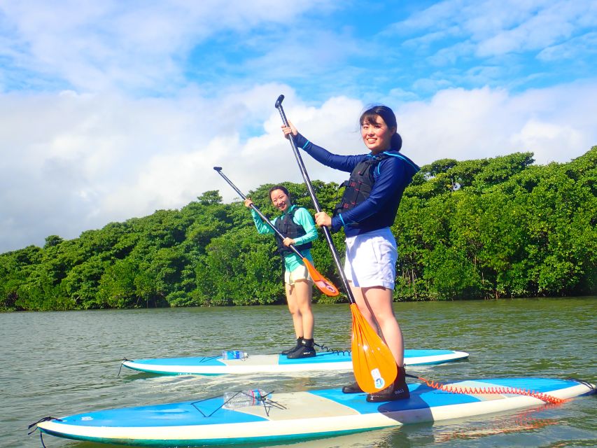 Ishigaki Island: SUP/Kayaking and Snorkeling at Blue Cave - Experience Highlights
