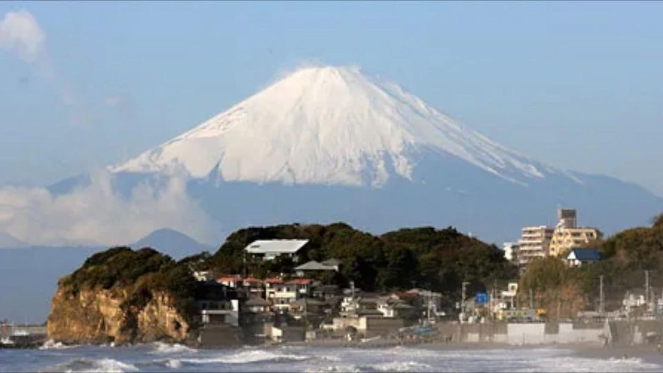 Kamakura Full Day Historic / Culture Tour - Pickup and Accessibility