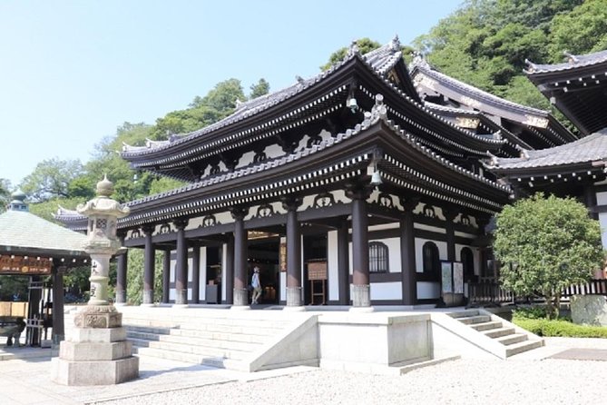 Kamakura Private Tour by Public Transportation - Highlights: Giant Buddha and Temples