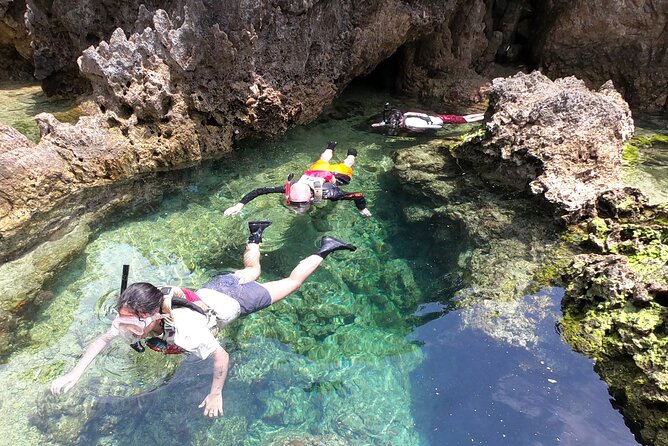 Kayak & Snorkel: Private Tour in Yanbaru, North Okinawa - Tour Details