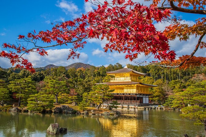 Kyoto and Nara 1 Day Bus Tour - Booking and Flexibility