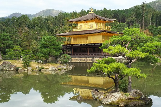 Kyoto and Nara Fully Satisfying Two-Day Tour - Day 2: Discovering Nara