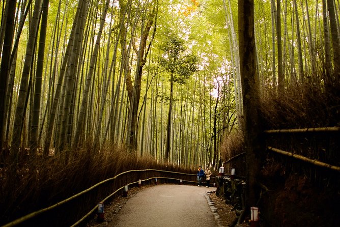 Kyoto Bamboo Forest Electric Bike Tour - Traveler Photos