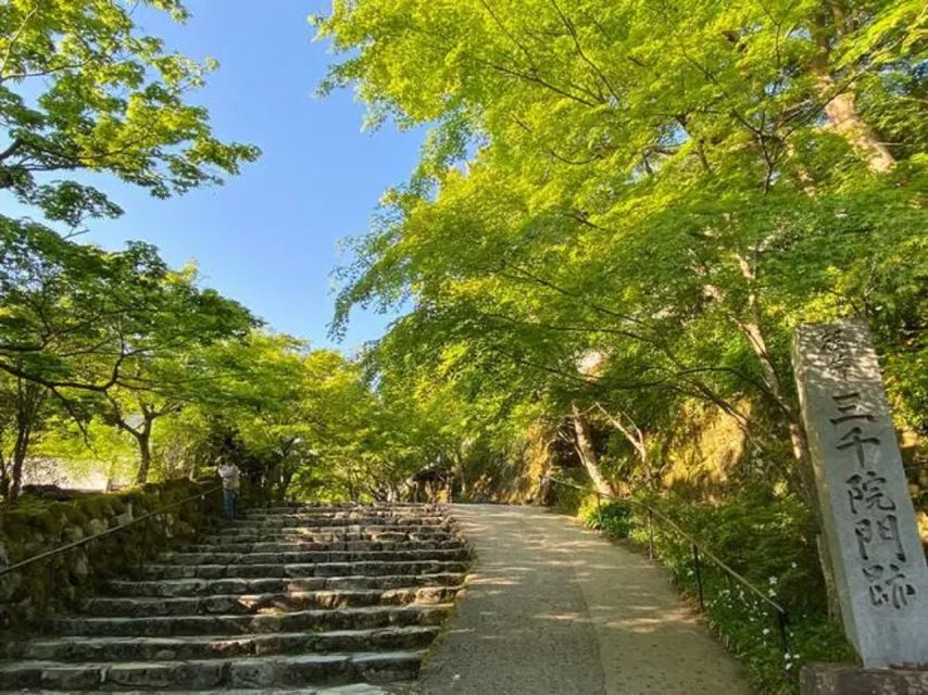 Kyoto Full Day Tour: Visiti Kyoto Sanzen-In and Arashiyama - Experience