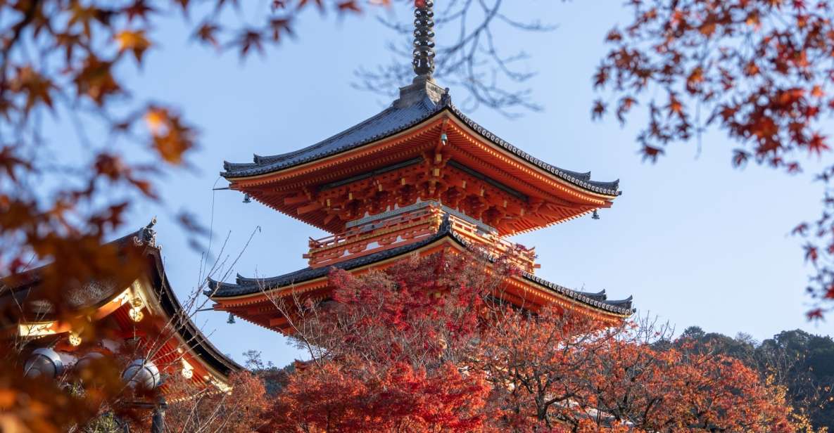 Kyoto: Personalized Guided Private Tour - Duration and Language Options