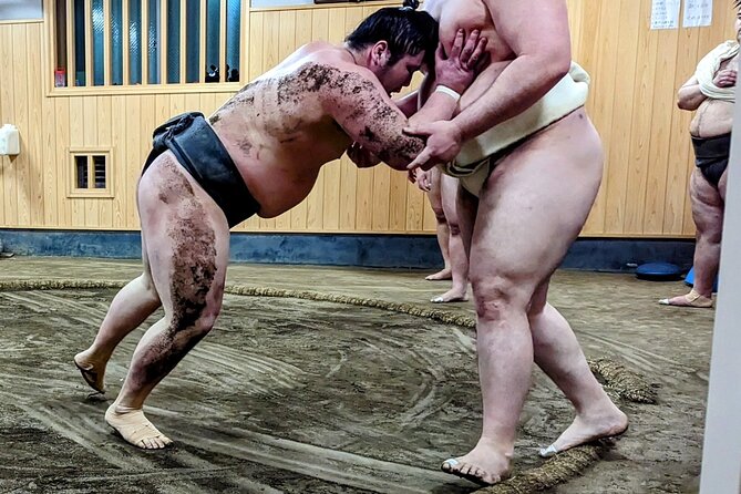 Morning Sumo Practice Viewing in Tokyo - Meeting and Pickup