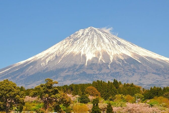 Mount Fuji Private Custom Tour From Tokyo - Booking Information