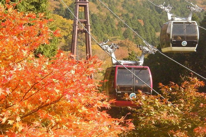 Mt Fuji and Ashinoko With Hakone Sightseeing Cruise 1 Day Tour - Tour Details