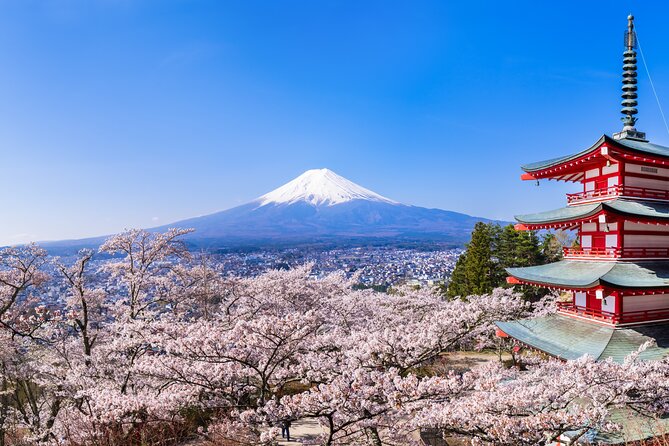 Mt.Fuji and Hakone Tour - Reviews and Ratings