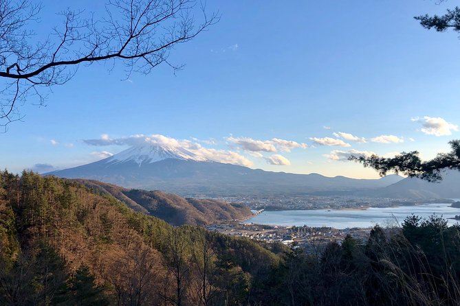 Mt Fuji Area Private Guided Tours in English-Nature up Close, Quiet, Personal - Personalized Attention and Local Flavor