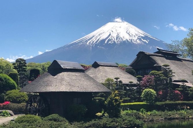 Mt.Fuji Full-Day Private Tour By Public Transportation - Transportation Options