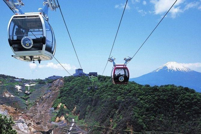 Mt. Fuji & Hakone 1 Day Tour From Tokyo (Return by Bullet Train in Option） - Important Information and Recommendations