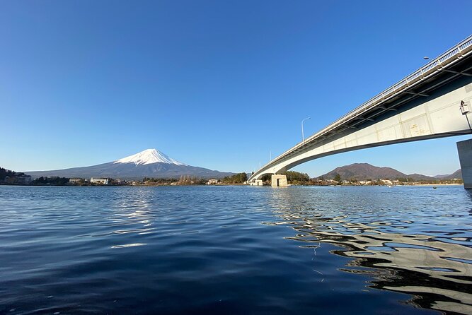 Mt Fuji Half-Day Tour By Car - Meeting and Pickup Details