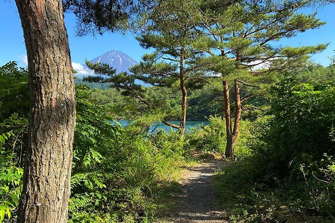 Mt Fuji Japanese Crafts Village and Lakeside Bike Tour - Scenic Bike Ride