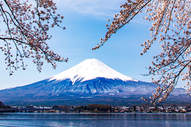 Mt. Fuji, Mt Fuji Panoramic Ropeway & Seasonal Fruits Picking - Mt. Fuji Visit