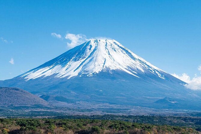 Mt.Fuji, Oishi Park & Arakurayama Sengen Park Bus Tour From Tokyo - Booking and Flexibility