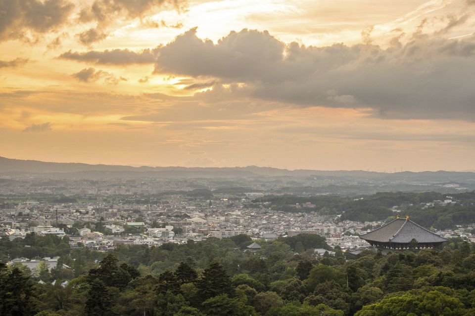 Nara Like a Local: Customized Guided Tour - Experience