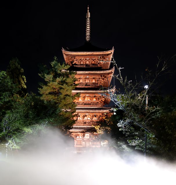 Ninnaji Temple: Special Entry for Unkai Light-up - Booking Details for Ninnaji Temple