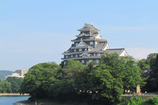 Okayama Half-Day Private Trip With Government-Licensed Guide - Customization Options
