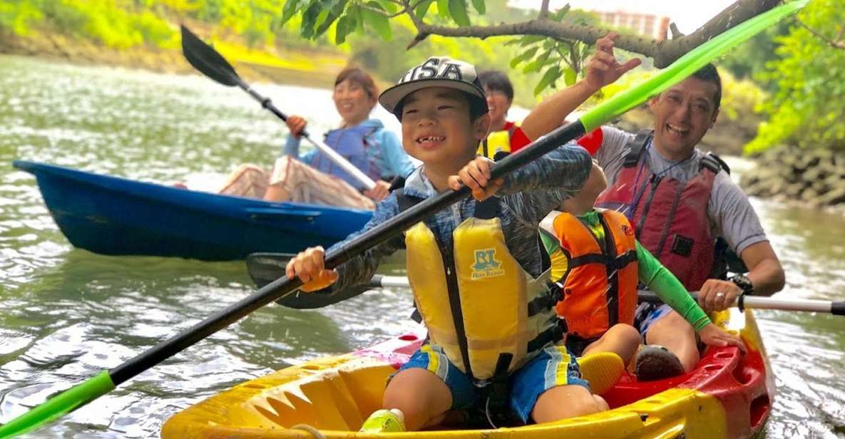 Okinawa: Mangrove Kayaking Tour - Experience