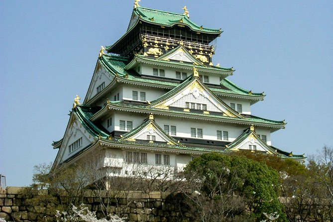 Osaka 1 Day Highlights Private Walking Tour - Date and Travelers