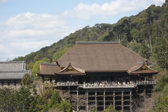 Personalized Half-Day Tour in Kyoto for Your Family and Friends. - Reviews