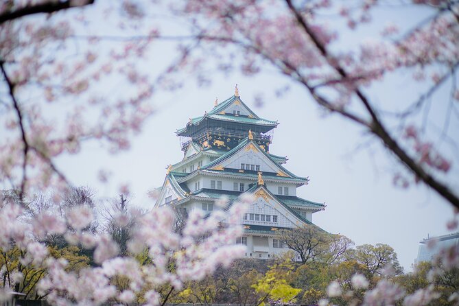 Private 6-Day Japan Exclusive Tour - Inclusions and Exclusions