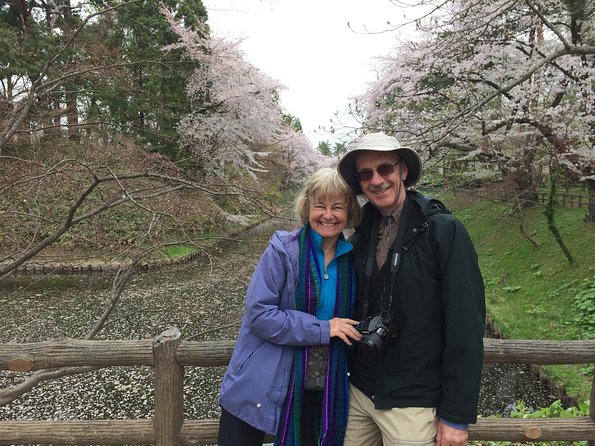 Private Cherry Blossom Tour in Hirosaki With a Local Guide - Captivating Cherry Blossom Varieties