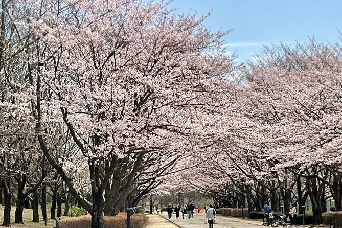 Private Full-Day Cherry-Blossom Tour of Tokyo With Tsukiji - Inclusions and Exclusions