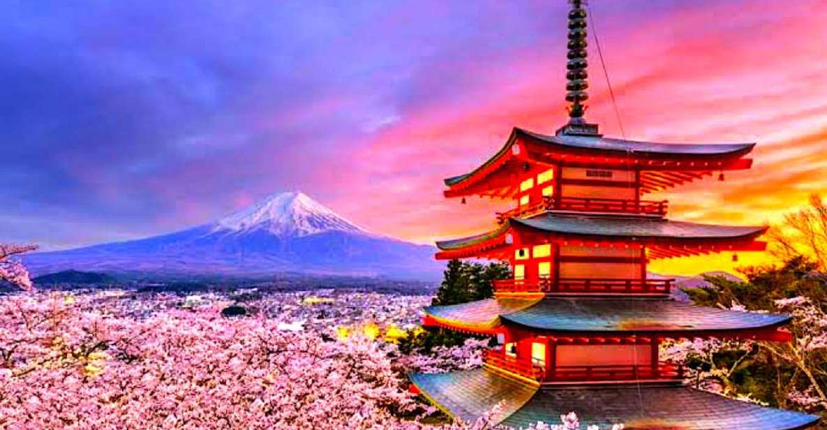 Private Guided Sightseeing Tour To Mount Fuji and Hakone - Pickup and Transportation