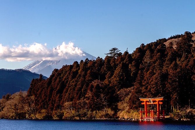 Private Hakone Tour - View of Mt. Fuji, Nature and Culture - Mt. Fuji Viewing Experience