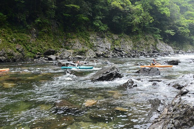 Private Half-Day Kayaking Trip on Kyushus Anbo River  - Kagoshima Prefecture - Traveler Photos and Reviews