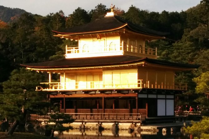 Private Highlights of Kyoto Tour - Tour Overview