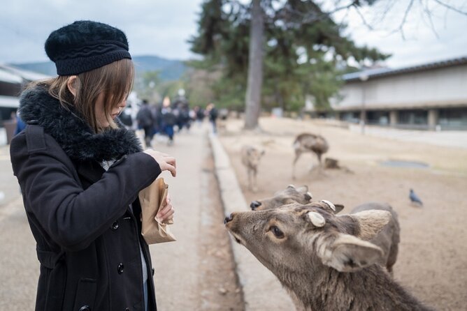 Private Journey in Nara's Historical Wonder - Cultural Heritage of Nara