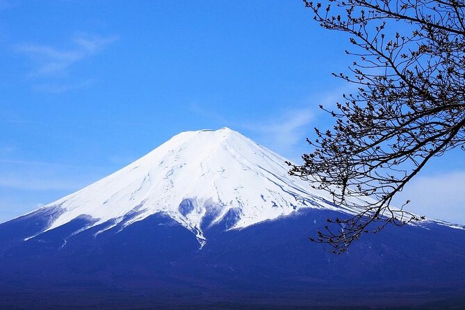 Private Mount Fuji Tour From Narita Airport /Haneda Airport/Tokyo - Departure Options