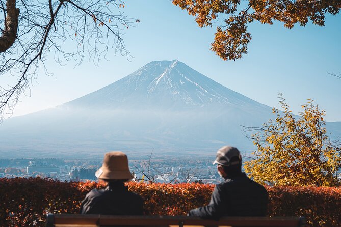 Private Mt Fuji, Hakone and Tokyo Tour With Bilingual Chauffeur - Cancellation Policy