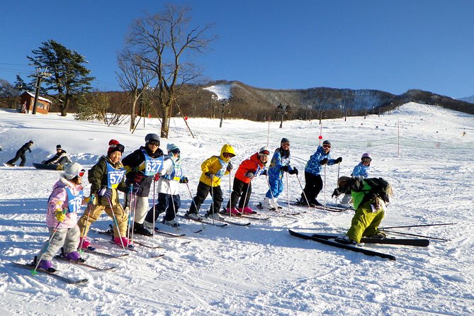 Private Ski Lesson for Family or Group(Transport Included ) - Participant Information