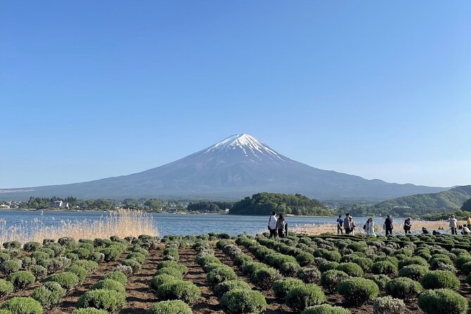 Private Tour in Mt Fuji and Hakone With English Speaking Driver - Tailored Locations and Requirements