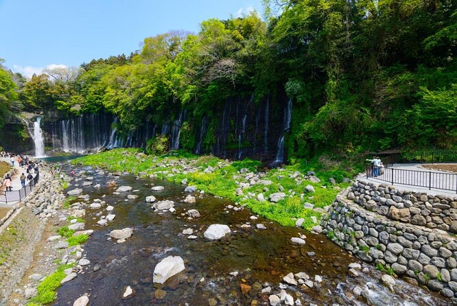 Private Tour to Lake Tanuki, Shiraito Falls... for Cruise Ship Passengers - Cancellation Policy