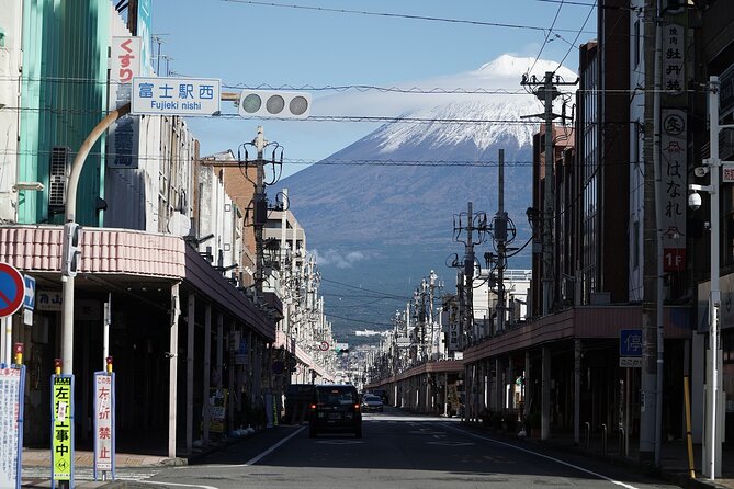 Private Transport Mt Fuji and Hakone 1 Day Trip - Date and Travelers