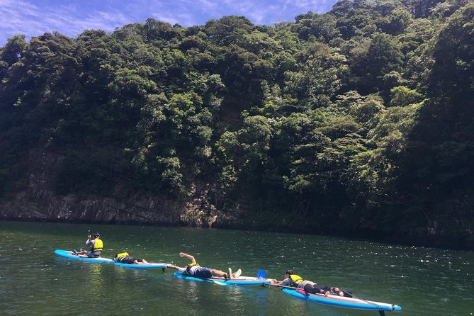 [Recommended on Arrival Date or Before Leaving! ] Relaxing and Relaxing Water Walk Awakawa River SUP - What To Expect