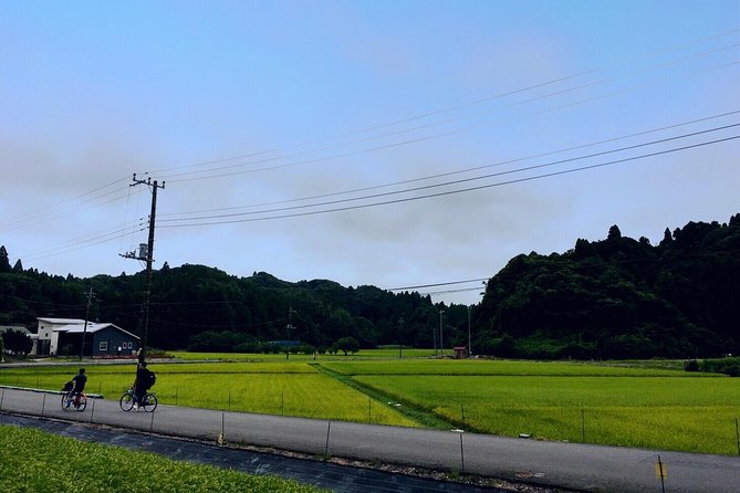 Rural Japan Cycling Tour to the Rich Nature Area in Ichinomiya - Itinerary Details